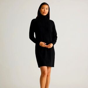 Mongolian Cashmere Turtleneck Sweater Dress